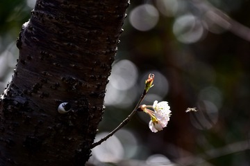 001