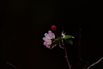 001
