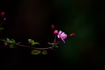 001