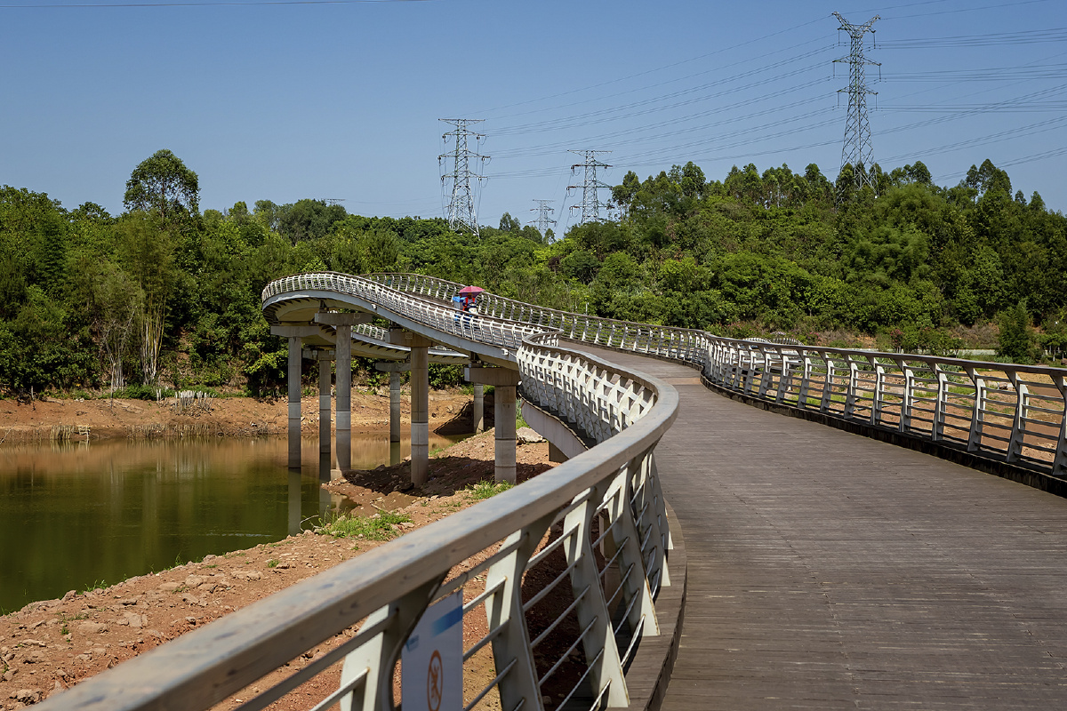 鹿溪湖生态公园智谷绿道