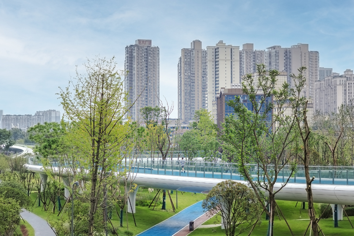 成都新金牛公园