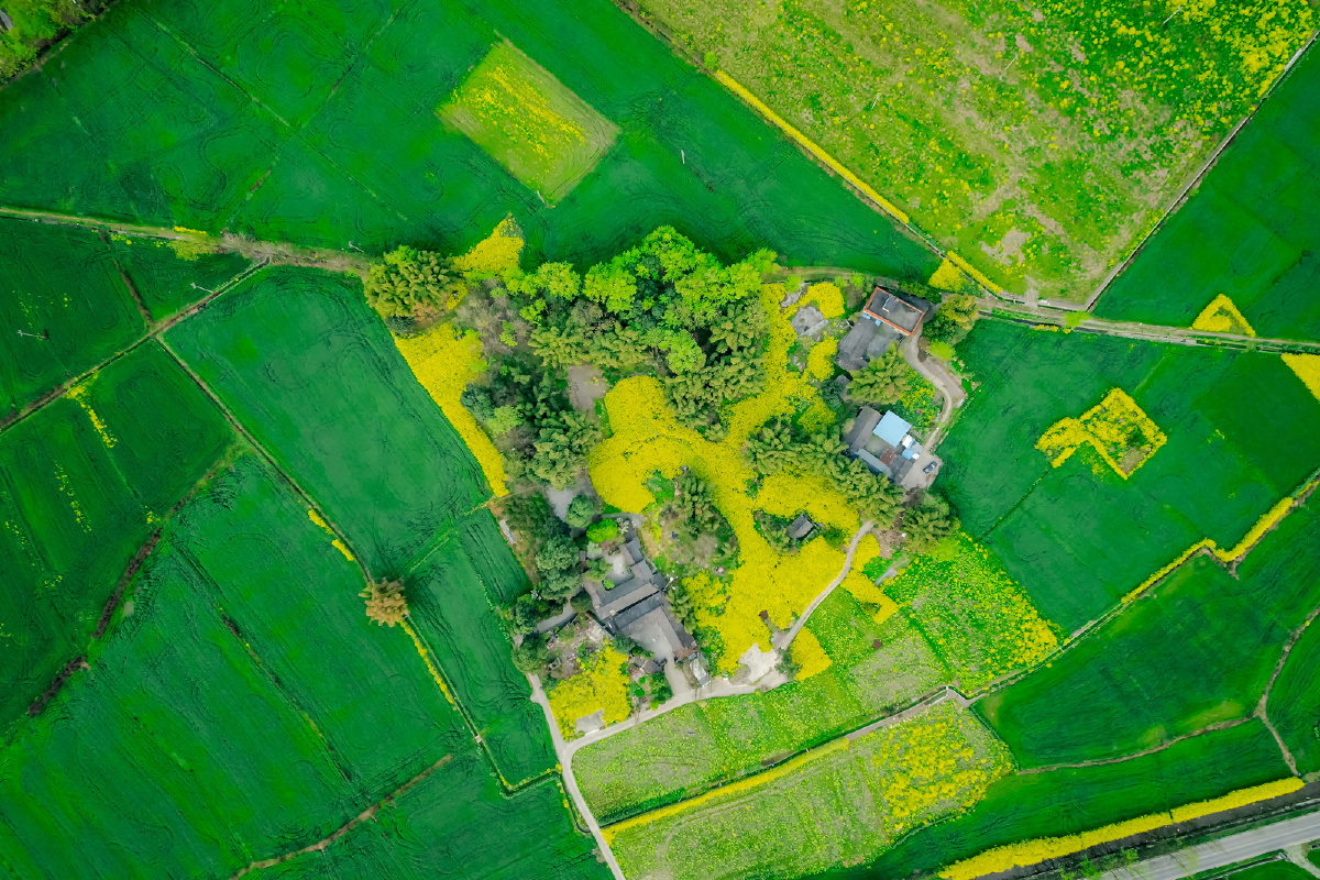 川西林盘～稻乡渔歌民宿 - 天涯静心 - 图虫