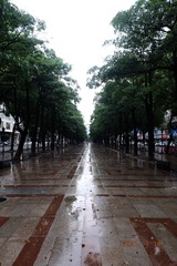 B804B067-A935-4E2D-A47F-27FCB4D7BE8D/L0/001
