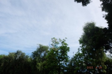 3657AC75-2C33-4A96-AFAD-83EB55E400FE/L0/001