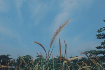 044BED86-D0A1-46A7-9DAF-E16EE7CA7A35/L0/001