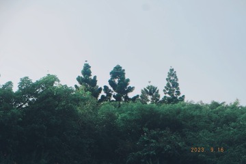 16D08146-C8A2-496E-8C9D-B640A7CACA61/L0/001