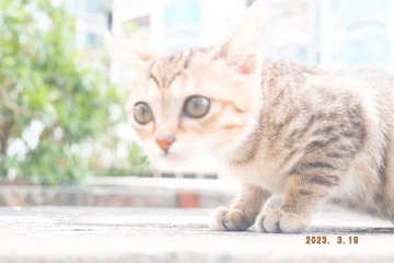 A78BD7F8-B591-4ACB-A76C-B2CE3DAB0ABD/L0/001