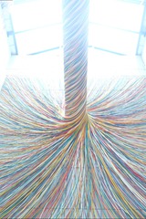7D931F95-50F8-429E-AEAA-ACCDD3020476/L0/001