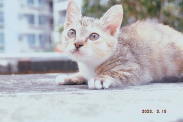 42B3A43B-A541-42CD-B26D-48CF2226A868/L0/001