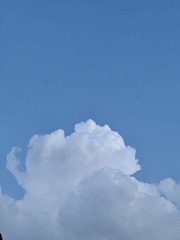 000D543D-95D8-417C-84AB-7FC82BE6C8FE/L0/001