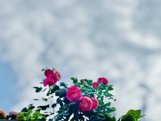 E18BF8C1-9F76-4479-A155-A542FB2A58FC/L0/001