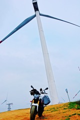 1000413731