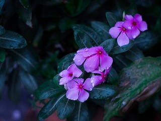 2C611398-B4AC-464E-8F70-CA0512FB5744/L0/001
