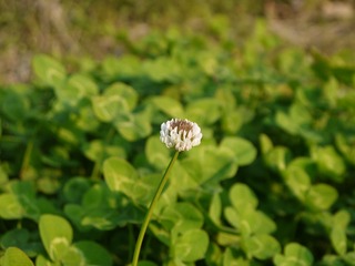 P1050377