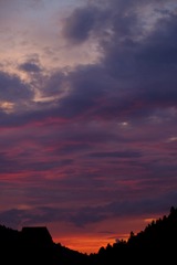 460D8BBB-CB6D-4D87-8578-40B20DA0C3DB/L0/001