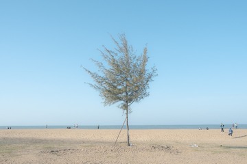 0EFFCF30-8C00-486E-AD59-5C0574D376E5/L0/001