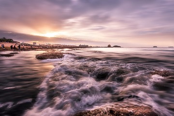 秋海