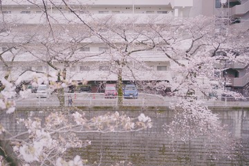 16B09AE3-2FDD-4958-8C07-2BE7DF8A7EF6/L0/001