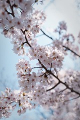 9A248BB1-58C4-490B-8161-B8FFB2B760D7/L0/001