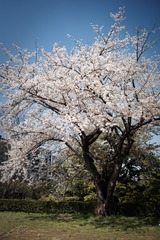 6293ED70-159F-42B2-9414-BFDBEB740243/L0/001