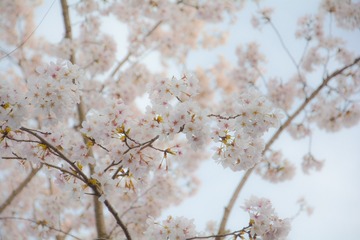 720D0DEB-B08E-4A27-9E31-30811EB47480/L0/001