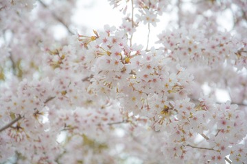 02A5ABAE-D02D-467B-AE4F-9CD470590AC7/L0/001