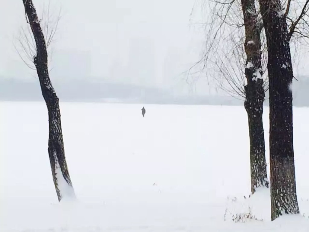 让孤独暂且远去吧，因为我现在只想欣赏美丽的雪