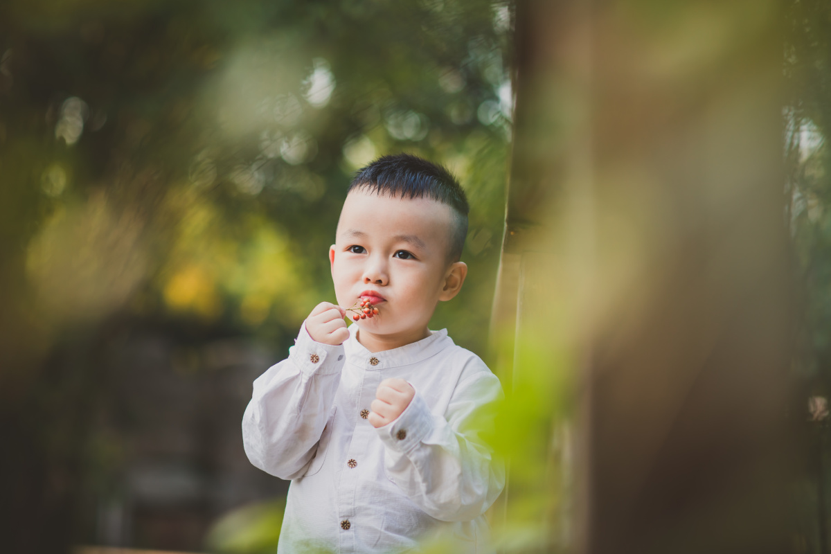 你是我的小星星