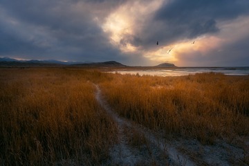 黄昏