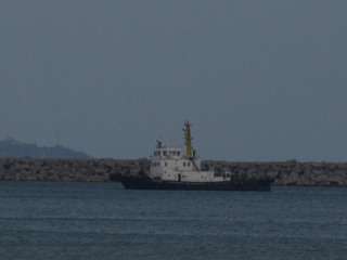 6239052