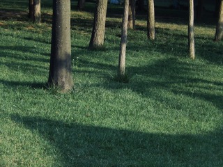 6E35C321-0F07-4E78-9C75-64A87F8AD08F/L0/001