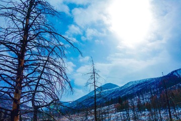 压缩后1 木格措山坡