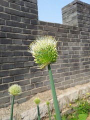 20120505_091520