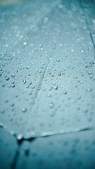 00807493-C767-413E-9F05-8F9D19B5398F/L0/001