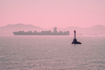 8828A56A-1673-455D-9B98-E8345DE577B5/L0/001