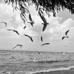 DSC02774-1