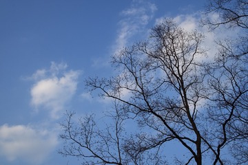 D6A1916B-69ED-4D08-8934-2CA46C5516D6/L0/001
