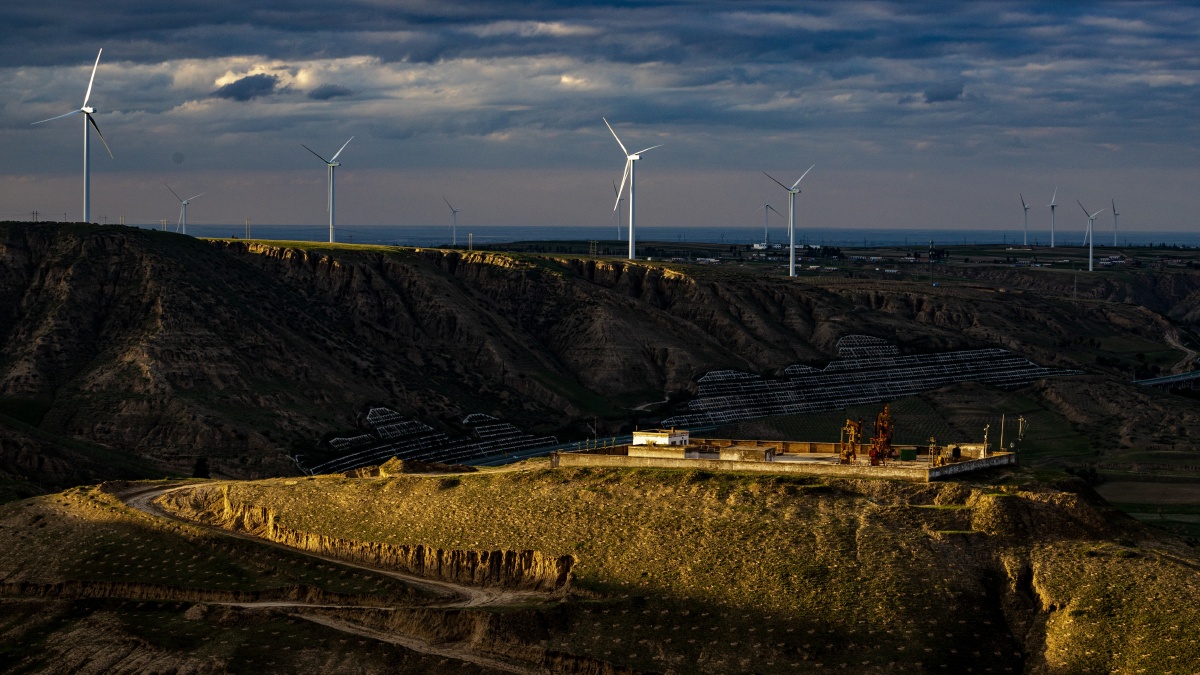 陕西定边风电山头站满山荞麦花