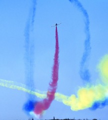 作品：《怒飞》作者：曲兆伟器材：适马150-600mmF5-6.3 DG OS HSM  Sports