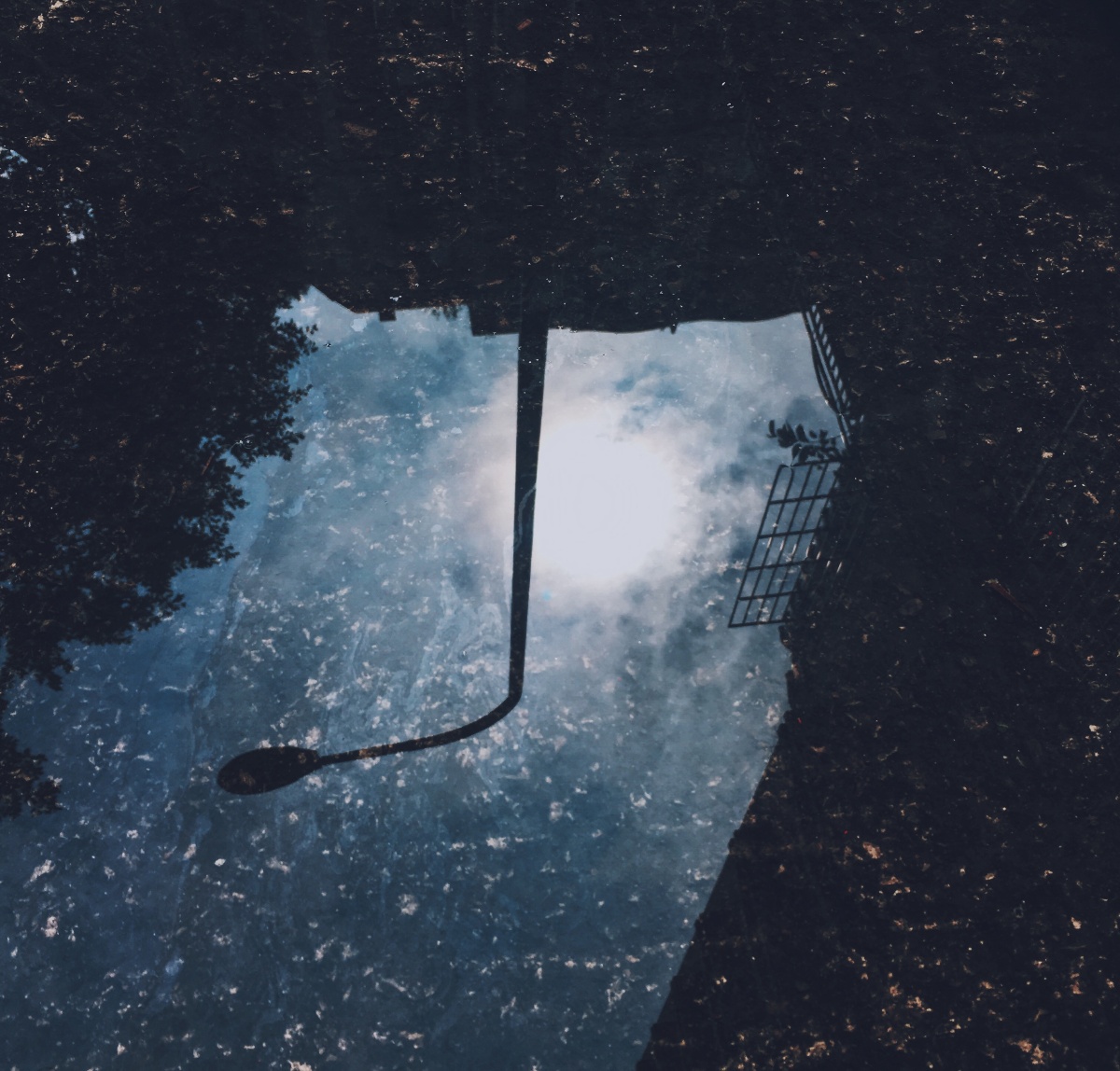 随手拍雨后路边的积水倒影