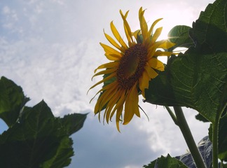 1F36C346-5D21-4B65-A40B-9CA79867B88B/L0/001