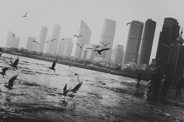 _DSC6932