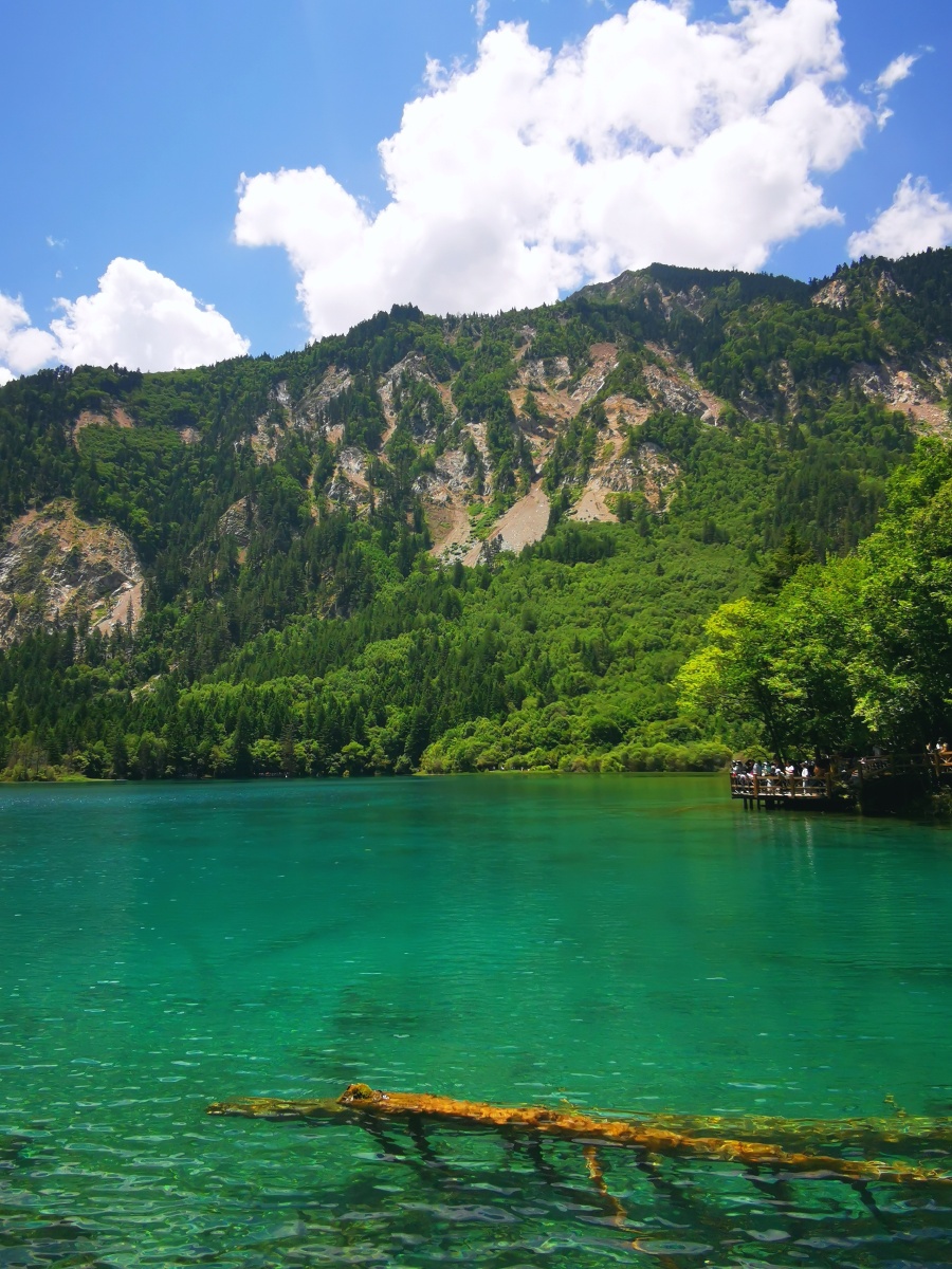 锦绣河山九寨沟风光