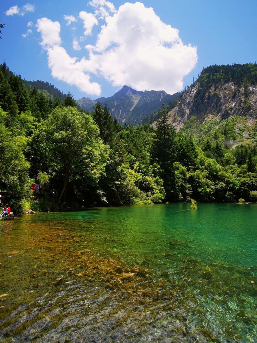 锦绣河山九寨沟风光