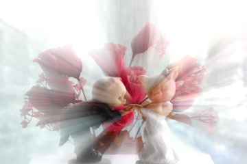 心花怒放（投稿）1A4A6162
