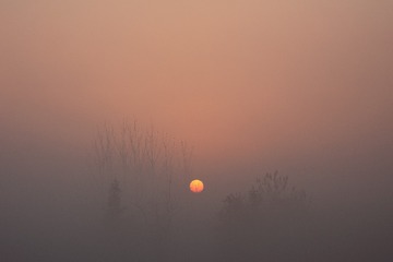 晨曦1A4A7527