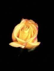 C069FD4E-FC7B-427C-AEDD-83D35F46F51A/L0/001