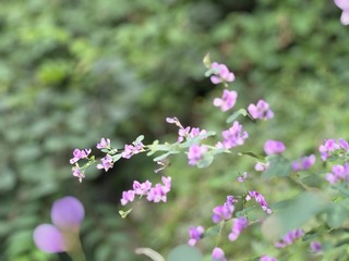 1610C243-C3BA-4DDE-8D17-3100E805CBFB/L0/001