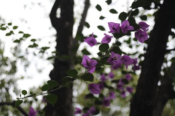 4109CB7A-B6D9-458B-A9B8-A6A14EF3BEA0/L0/001