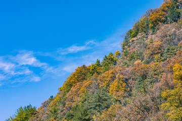 126A2691